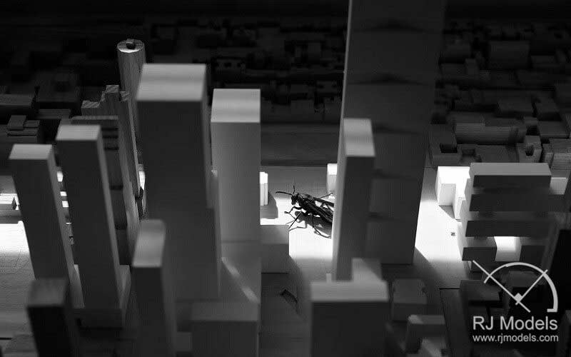 Pests can create big trouble for architectural models